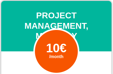 project management