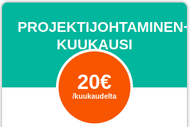 projektijohtaminen plus